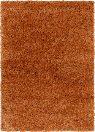 Surya Bogota shag BTG-2306 Area Rug main image