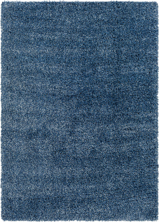 Surya Bogota shag BTG-2308 Area Rug main image