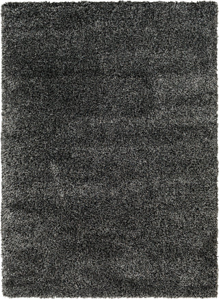 Surya Bogota shag BTG-2309 Area Rug main image