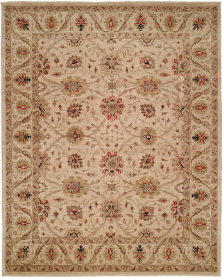 Ancient Boundaries Butros BUT-01 Area Rug main image