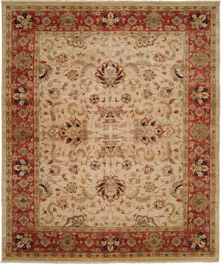 Ancient Boundaries Butros BUT-03 Area Rug main image