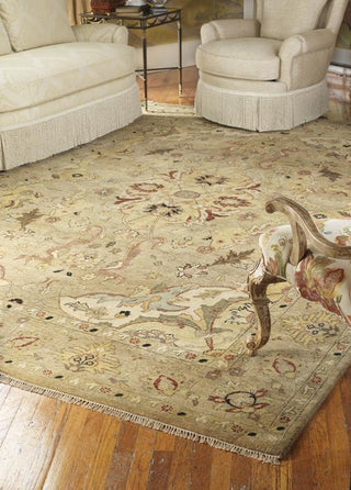 Ancient Boundaries Butros BUT-07 Area Rug Room Scene Image