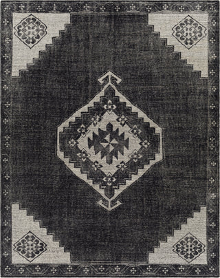 Surya Burnley BUY-2300 Area Rug main image