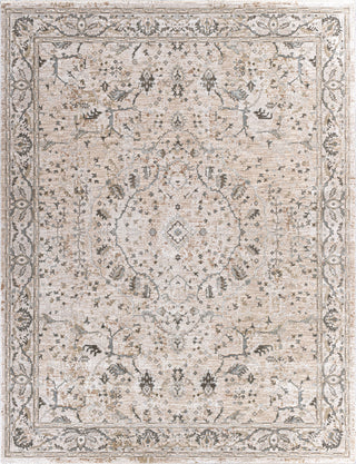 Livabliss Brunswick BWK-2312 Area Rug