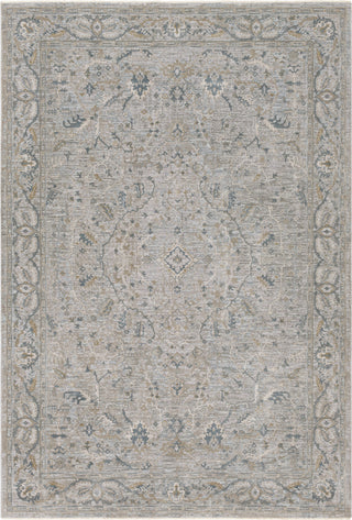 Surya Brunswick BWK-2313 Area Rug Main Image 