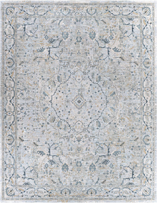 Livabliss Brunswick BWK-2314 Area Rug