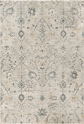 Surya Brunswick BWK-2316 Area Rug 6'7"x9'6" Size 