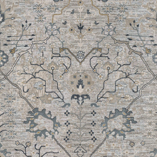 Surya Brunswick BWK-2316 Area Rug 18" Sample Swatch 