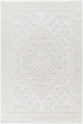 Surya Broadway BWY-2300 Area Rug main image