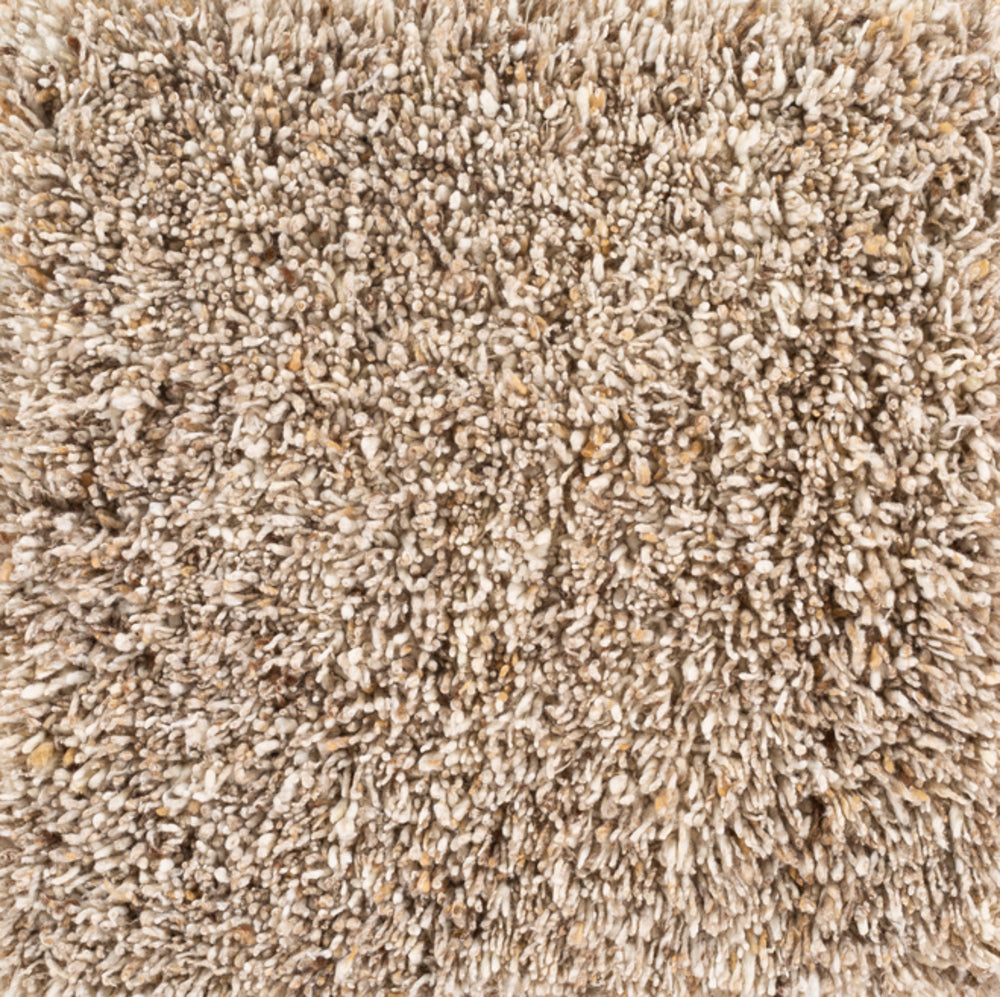 Surya Bexley BXL-1000 Area Rug