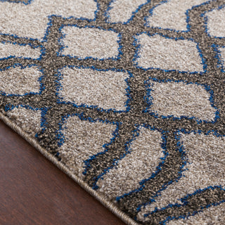 Surya Baylee BYL-1000 Area Rug Texture Image