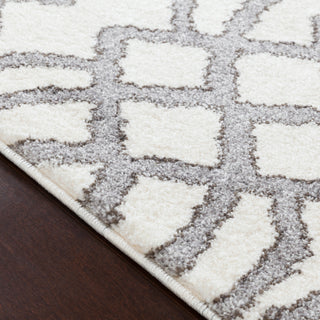 Surya Baylee BYL-1001 Area Rug Texture Image