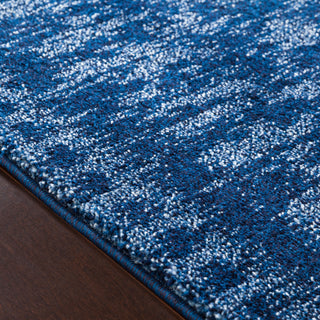 Surya Baylee BYL-1003 Area Rug Texture Image