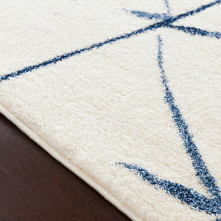 Surya Baylee BYL-1006 Area Rug Texture Image