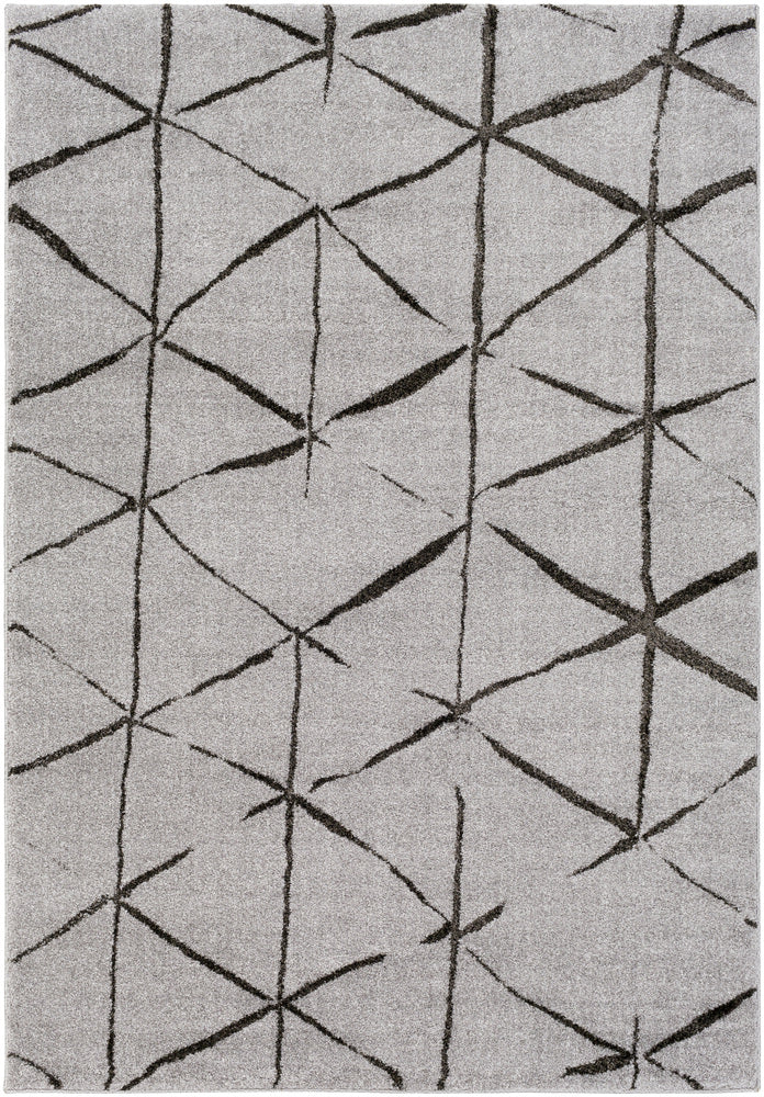 Surya Baylee BYL-1007 Area Rug main image