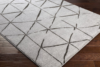 Surya Baylee BYL-1007 Area Rug Corner Image Feature