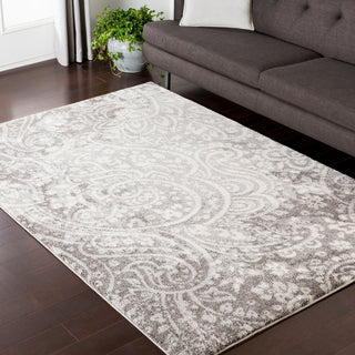 Surya Baylee BYL-1010 Area Rug Room Image Feature