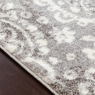 Surya Baylee BYL-1010 Area Rug Texture Image