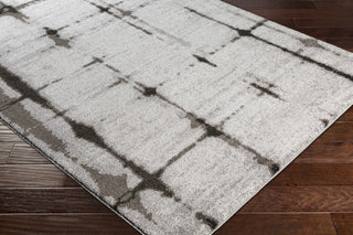 Surya Baylee BYL-1013 Area Rug Corner Image