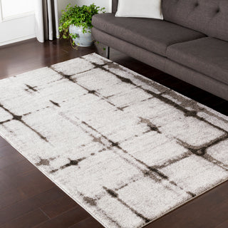 Surya Baylee BYL-1013 Area Rug Room Image Feature