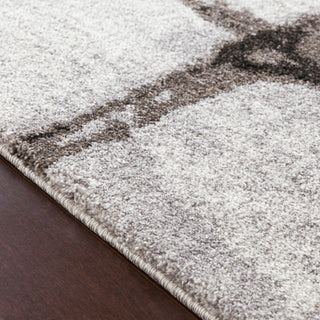 Surya Baylee BYL-1013 Area Rug Texture Image