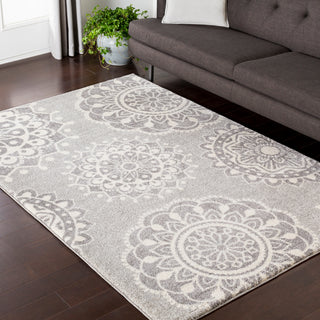 Surya Baylee BYL-1017 Area Rug Room Image Feature