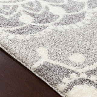 Surya Baylee BYL-1017 Area Rug Texture Image