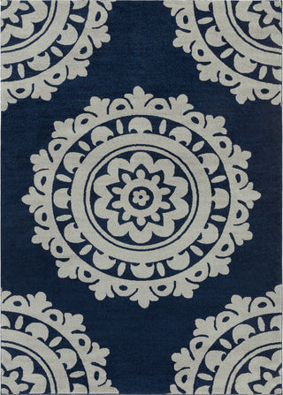 Surya Baylee BYL-1018 Dark Blue Silver Gray Area Rug Main Image 8 X 10