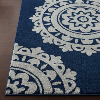 Surya Baylee BYL-1018 Dark Blue Silver Gray Area Rug Detail Image