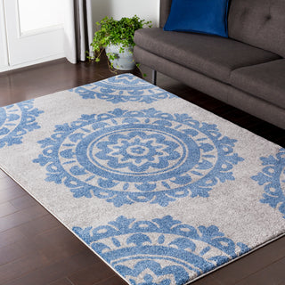 Surya Baylee BYL-1019 Area Rug Room Image Feature