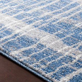 Surya Baylee BYL-1024 Bright Blue Medium Gray Cream Area Rug Texture Image