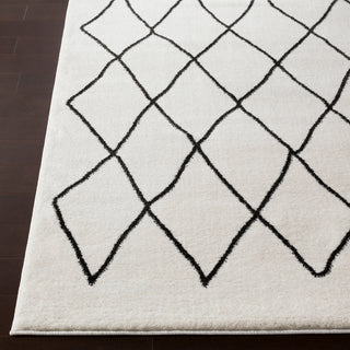 Surya Baylee BYL-1025 Cream Black Area Rug Detail Image