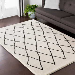 Surya Baylee BYL-1025 Area Rug Room Image Feature