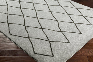Surya Baylee BYL-1026 Medium Gray Black Area Rug Corner Image