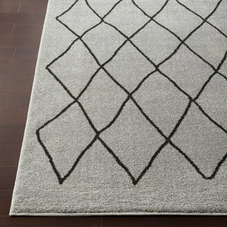 Surya Baylee BYL-1026 Medium Gray Black Area Rug Detail Image