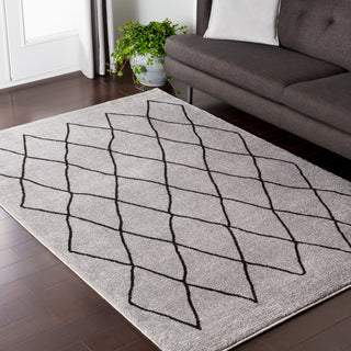 Surya Baylee BYL-1026 Area Rug Room Image Feature