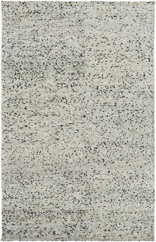 Surya Bazaar BZR-8008 Area Rug 5' x 8'