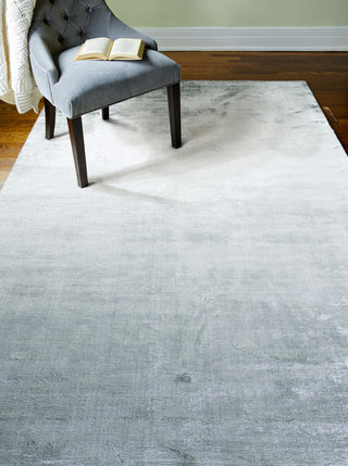 Bashian Radiance C183-WZ Oyster Area Rug Room Scene Feature