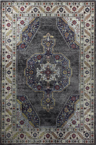 Bashian Charleston C186-R101 Grey Area Rug main image