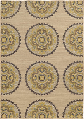 Tommy Bahama Cabana 501X2 Beige/ Multi Area Rug Main Image