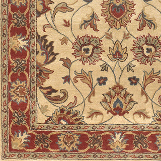 Surya Caesar CAE-1001 Area Rug 18" Sample Swatch