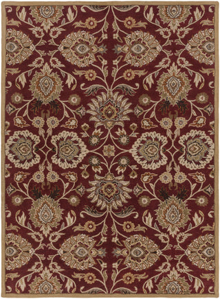 Surya Caesar CAE-1061 Burgundy Area Rug 8' x 11'