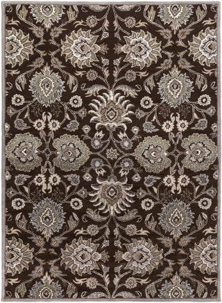 Surya Caesar CAE-1063 Chocolate Area Rug 8' x 11'