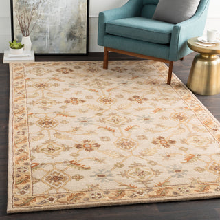 Surya Caesar CAE-1084 Area Rug Room Scene Feature