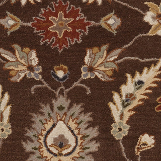 Surya Caesar CAE-1103 Chocolate Hand Tufted Area Rug Sample Swatch