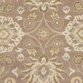 Surya Caesar CAE-1108 Ivory Hand Tufted Area Rug Sample Swatch