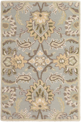 Surya Caesar CAE-1111 Grey Area Rug 2' x 3'