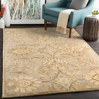 Surya Caesar CAE-1111 Area Rug Room Scene Featured