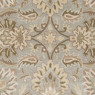 Surya Caesar CAE-1111 Grey Hand Tufted Area Rug Sample Swatch