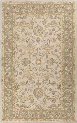 Surya Caesar CAE-1114 Beige Area Rug 5' x 8'